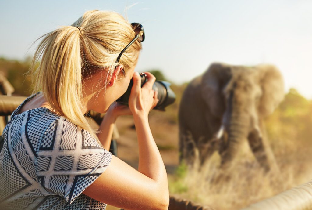 shot of a female tourist taking photographs of elephants while on safari.