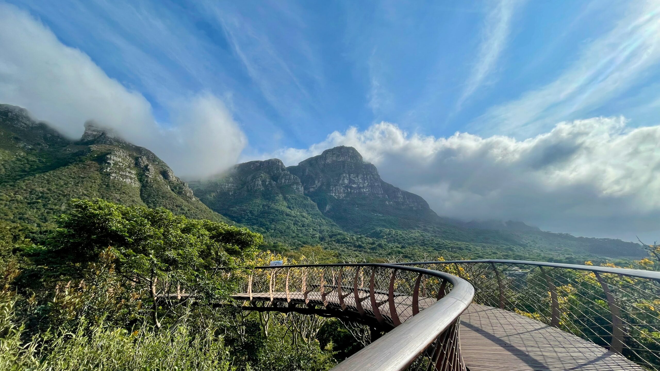 The picturesque Boomslang Tree Canopy Walkway