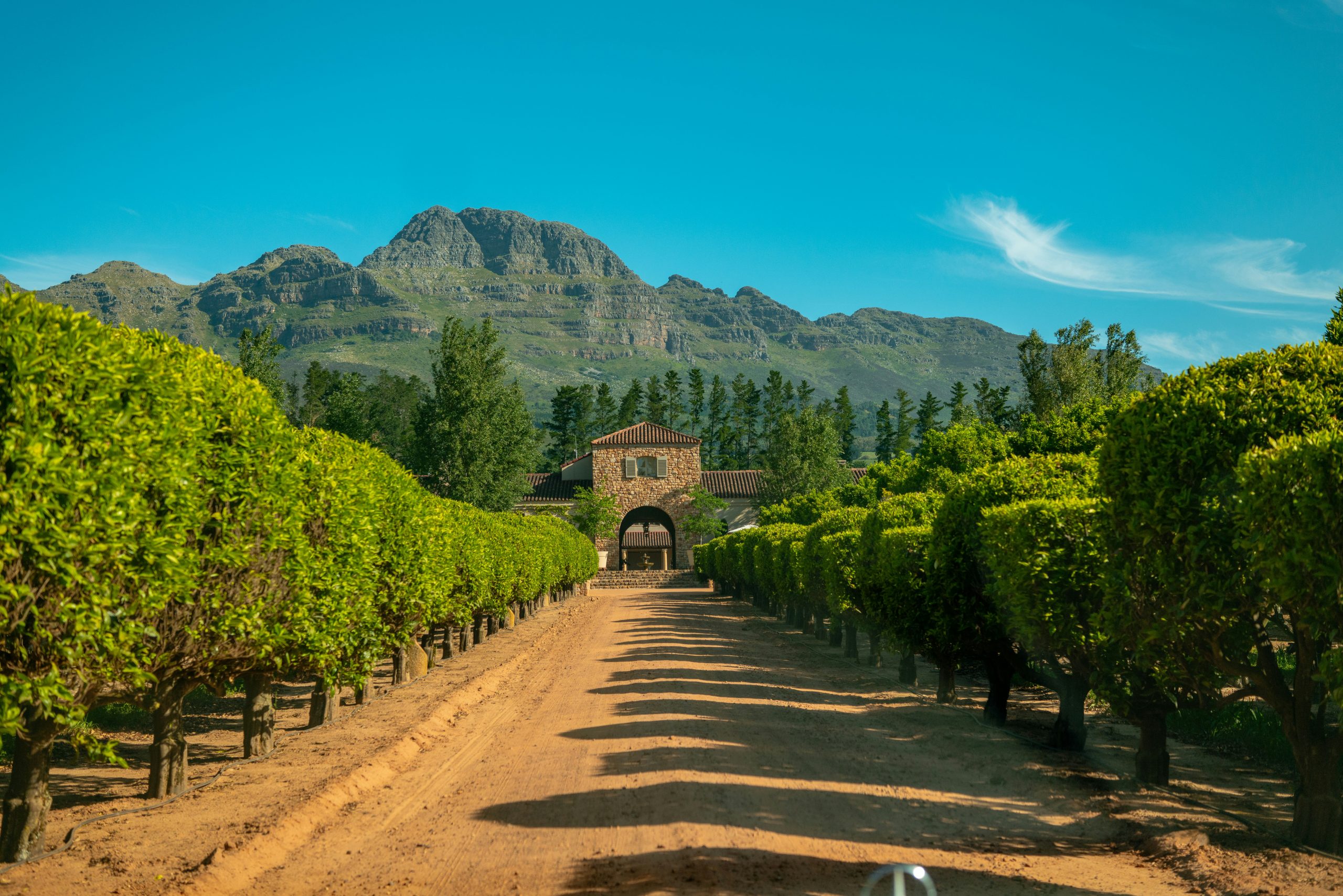 The beautiful entrance to a popular wine farm in Stellenbosch