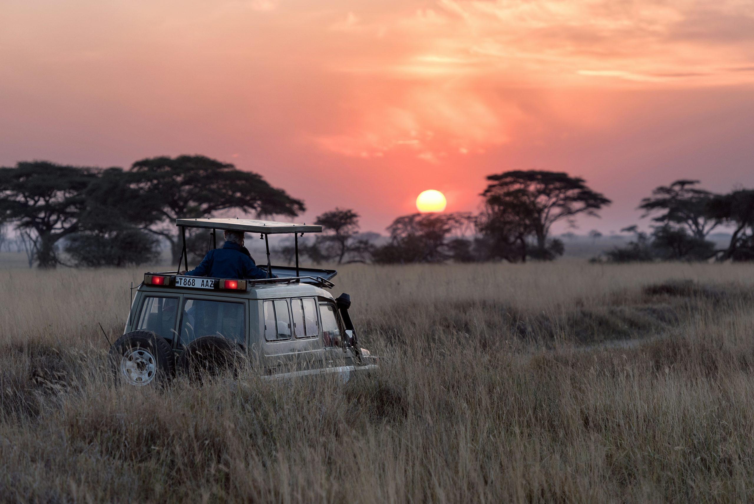 A picture of a sunset safari drive