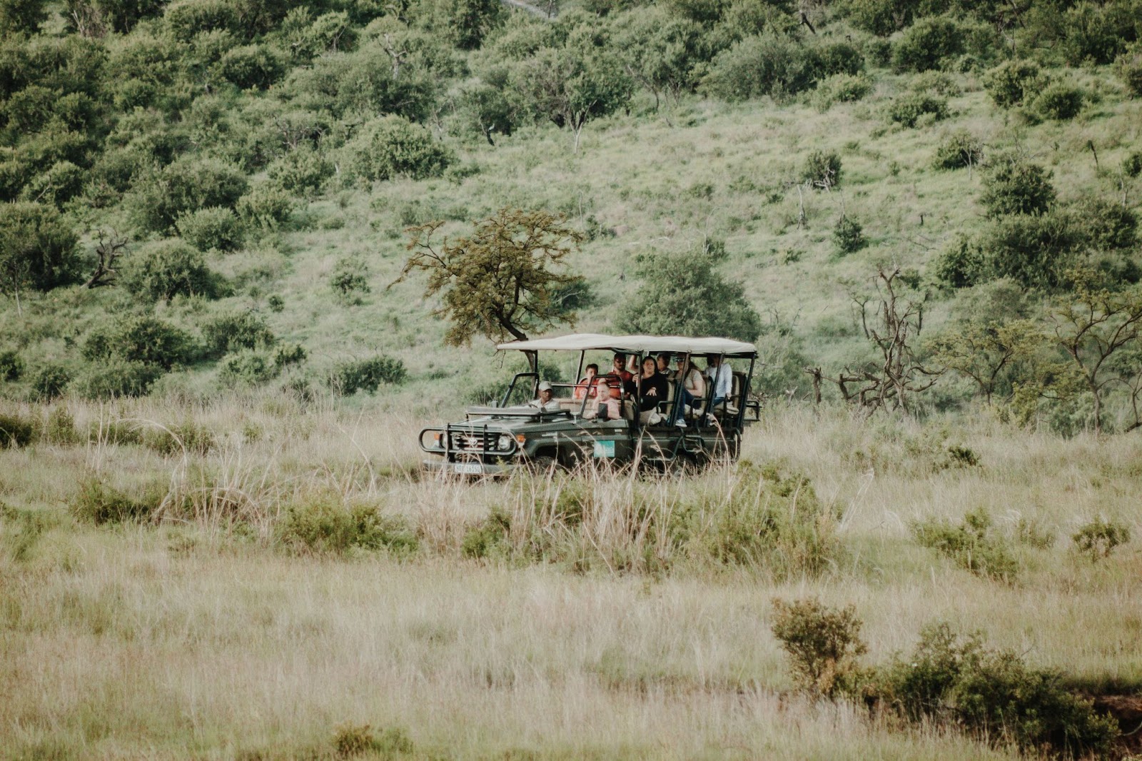 A picture of a safari vehicle while guests are on a guided safari tour