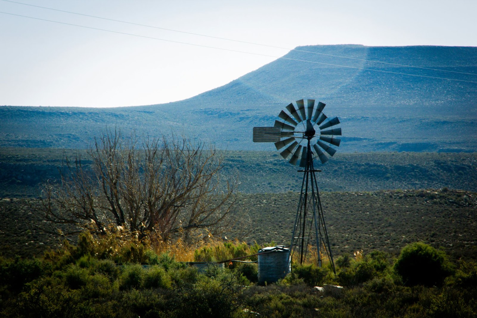 A popular icon of the Karoo region, the windmill