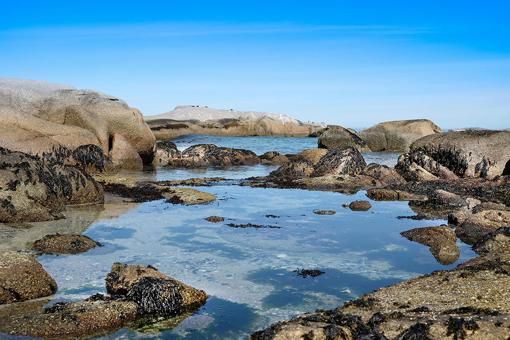 A rocky shoreline in Paternoster, Western Cape, South Africa