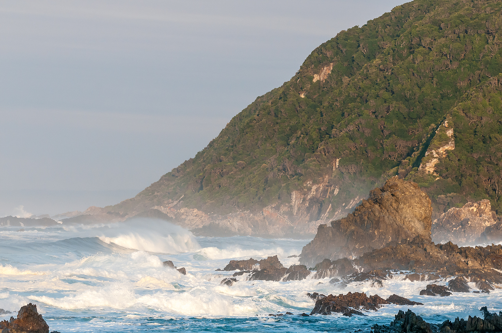 An early morning scene of the coast along the Garden Route in the Eastern Cape Province of South Africa