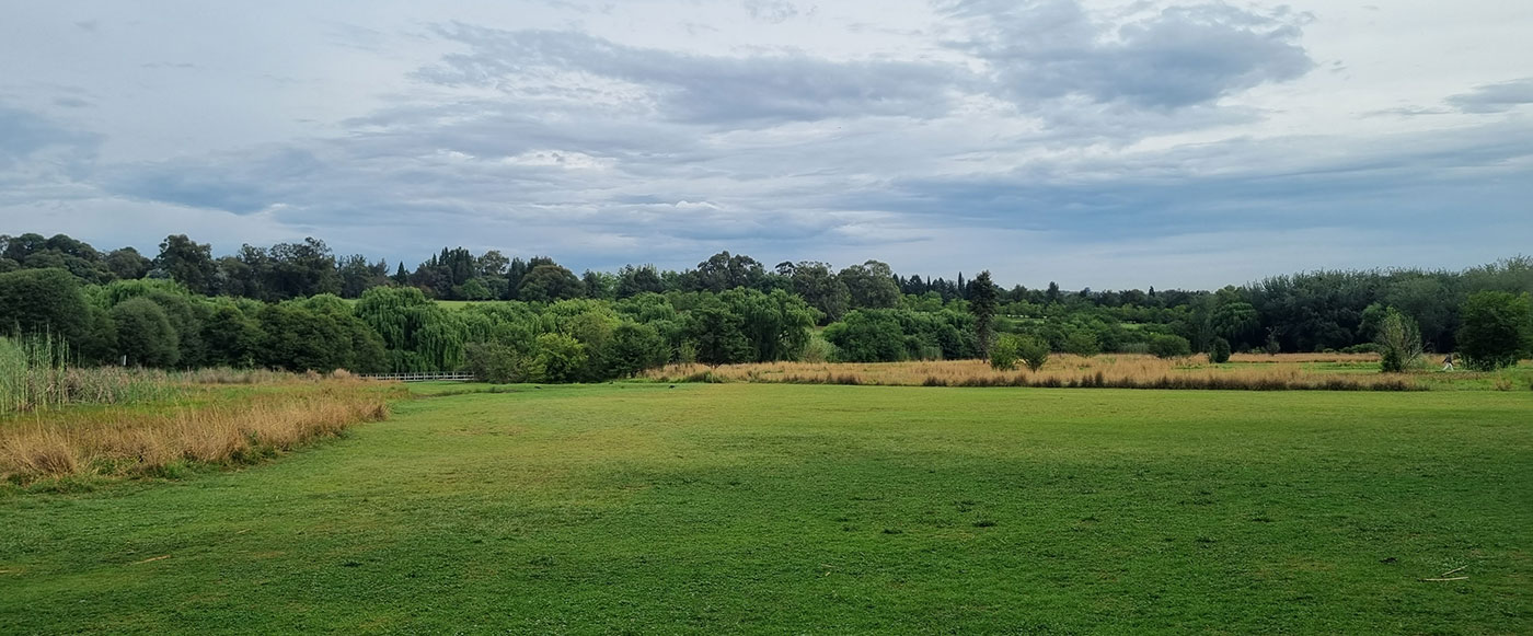 Green grass at Emmarentia Park at the Johannesburg Botanical Gardens