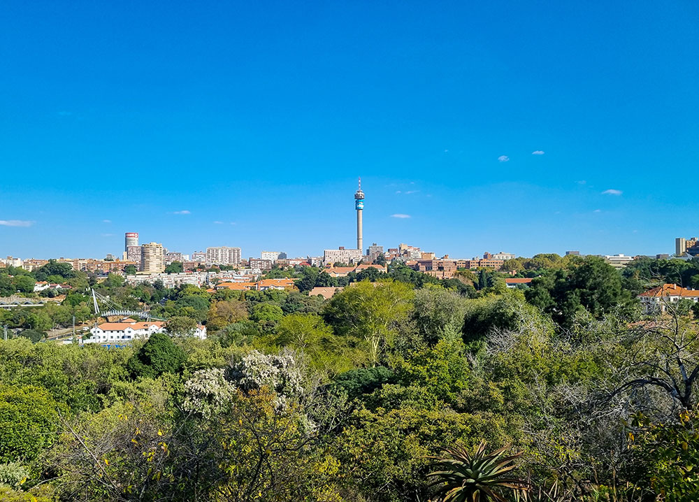 Johannesburg Green Spaces - A view toward Johannesburg CBD from The Wilds