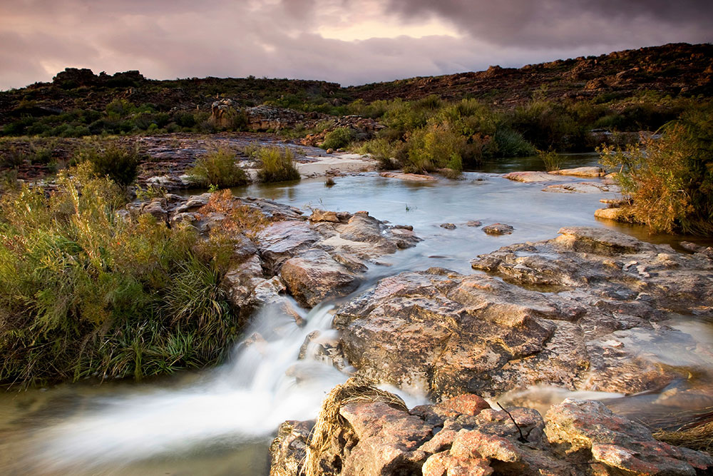 Swimming in the Cederberg Mountains
