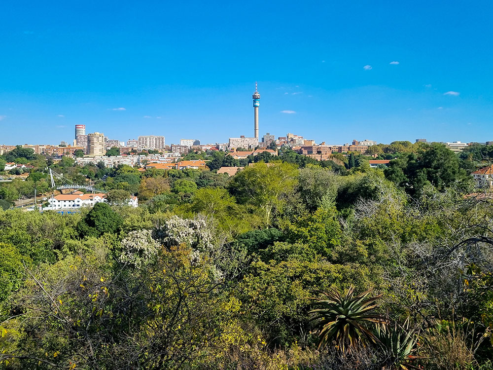 Johannesburg city view from The Wilds