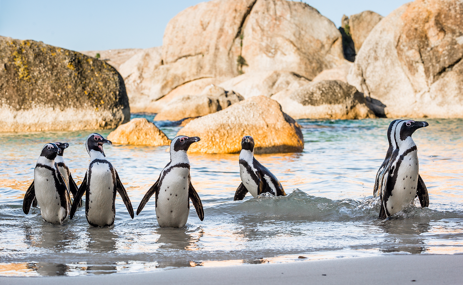Scenic coastal view along the Cape Peninsula