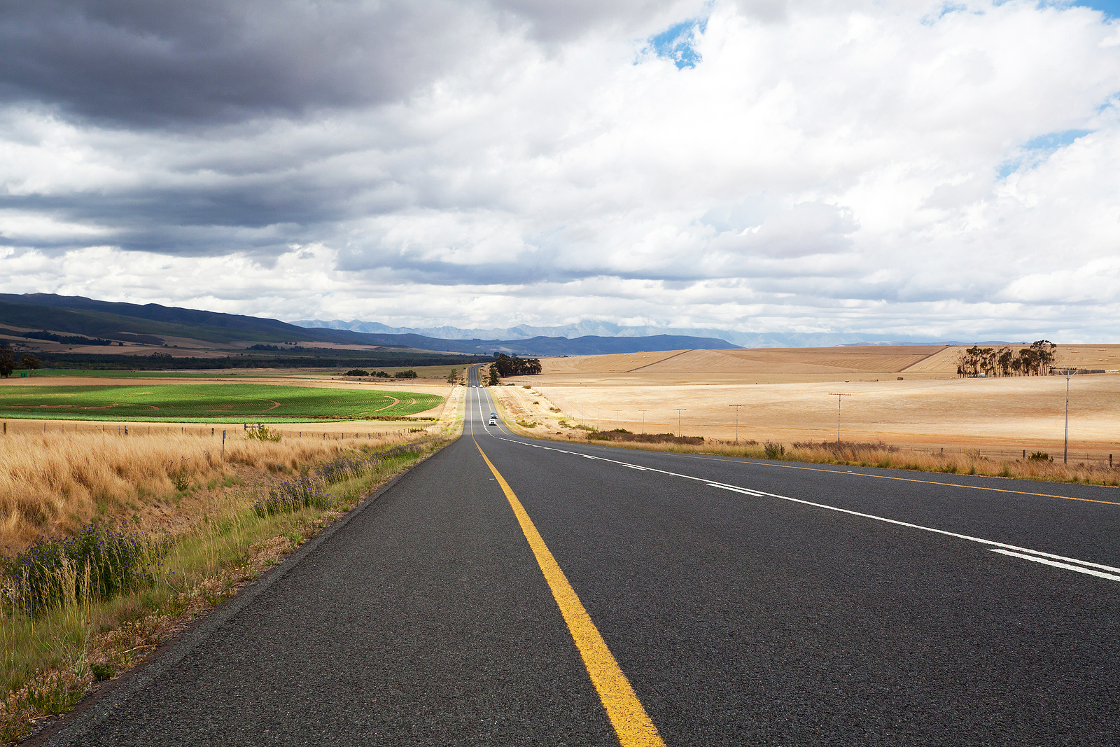 road through farm land in western cape, south africa